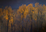 Glowing Embrace