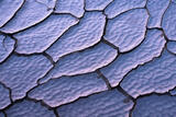 Scalloped