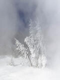 Winter's Breath