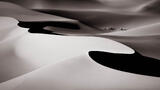 The Quiet Curve