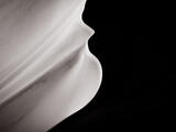 Profile of Silence