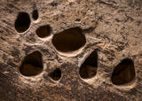 Echoes in Stone