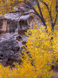 Sandstone and Gold Leaf