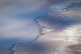 Dappled Earth