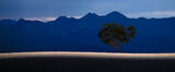 Atop