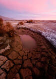 anza borrego state park, california, pink