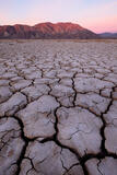 anza borrego state park, brown, california, pink
