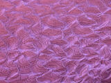 Topographic Contours
