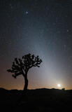 Joshua Tree Zodiacal Light