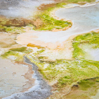 Abstract thermal feature at Yellowstone National Park