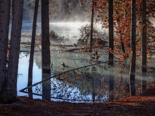 Tranquil Echoes