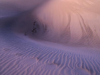 Desert's Pastel Memory