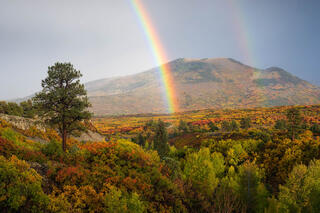 rainbow autumn scene