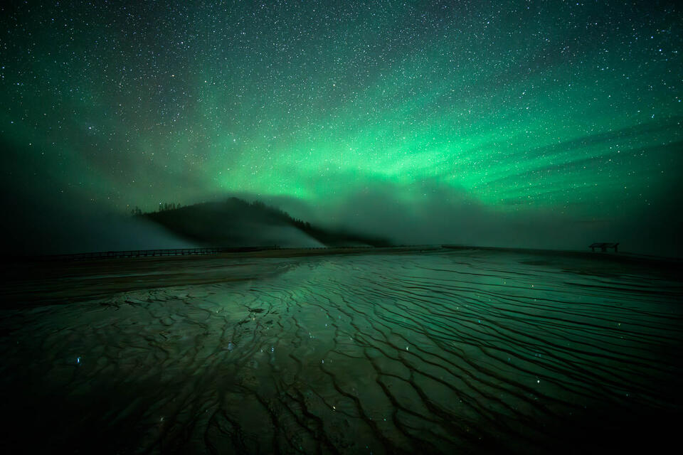 Finalist in the Nature Photography Contest