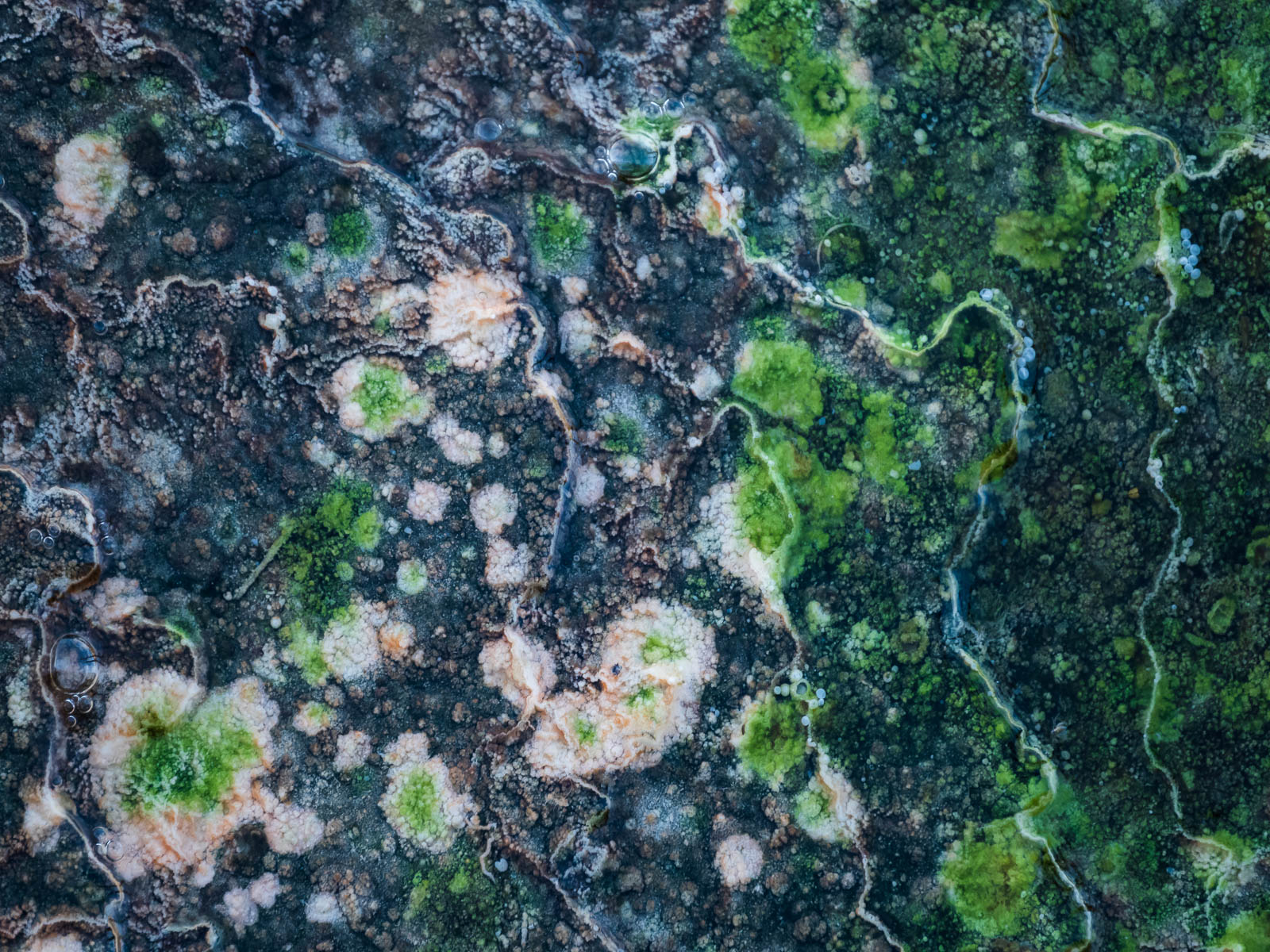 Abstract of a thermal feature in Yellowstone National Park
