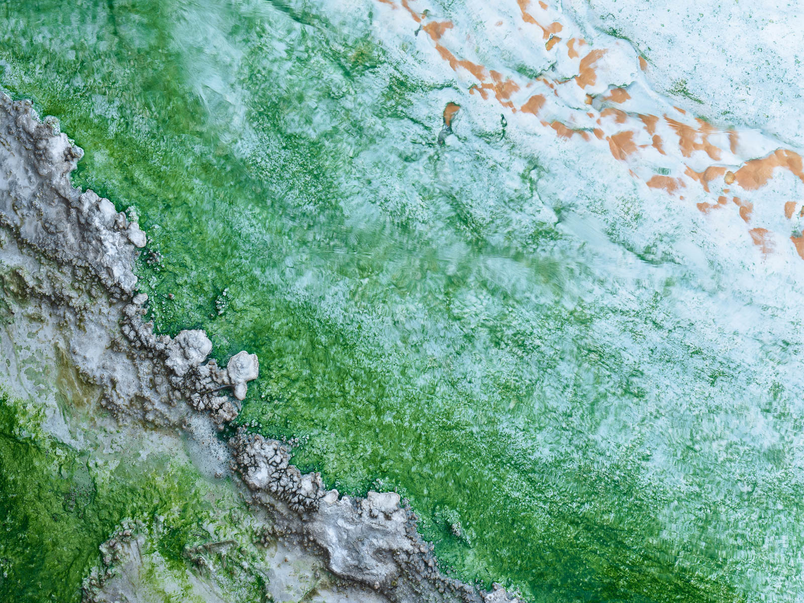 Greenery Abstract of a thermal feature in Yellowstone National Park