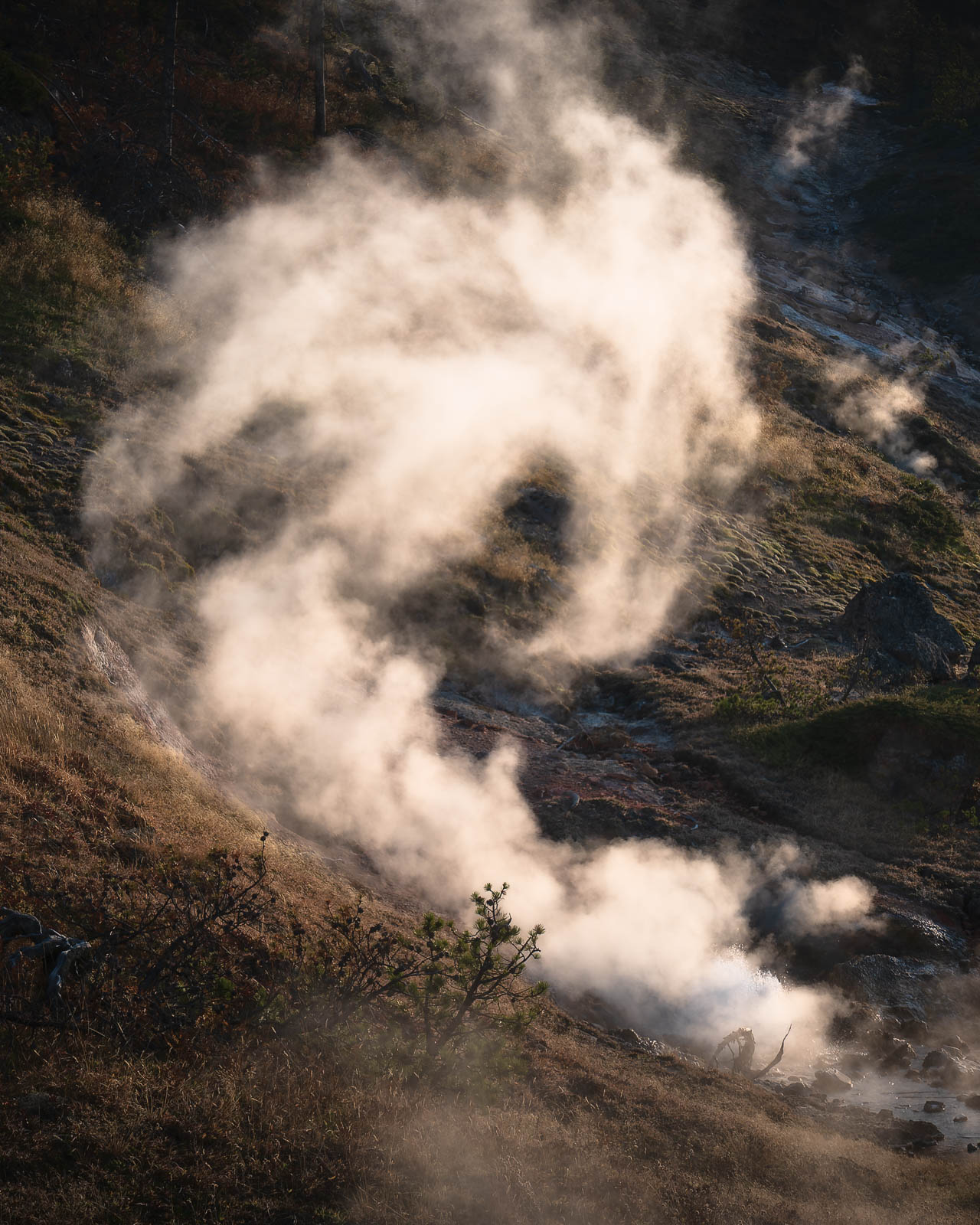 Steam rising from a thermal feature in Yellowstone National Park