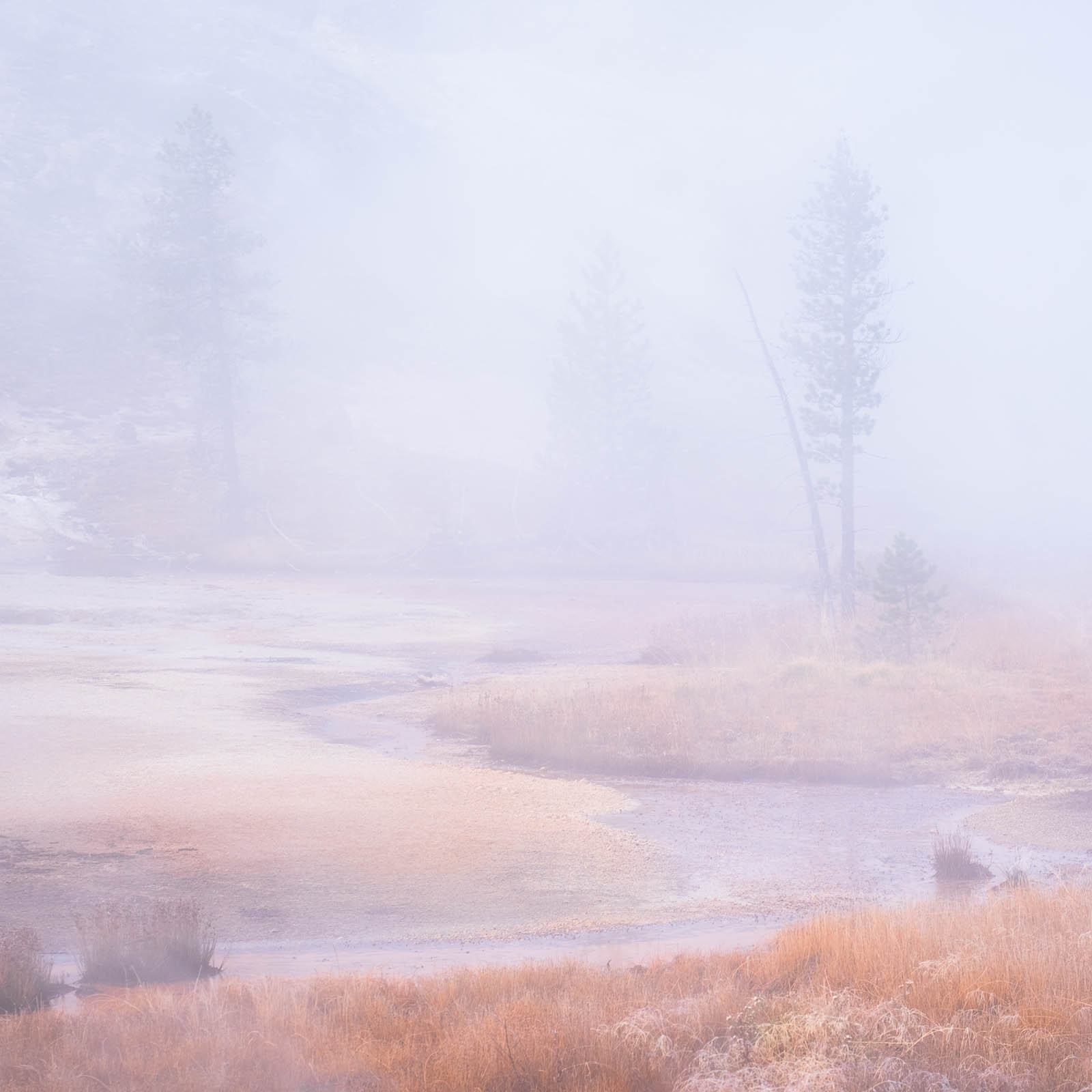 Wyoming, fog, orange, river, rocky mountains, square, tree, white, yellowstone national park, ynp
