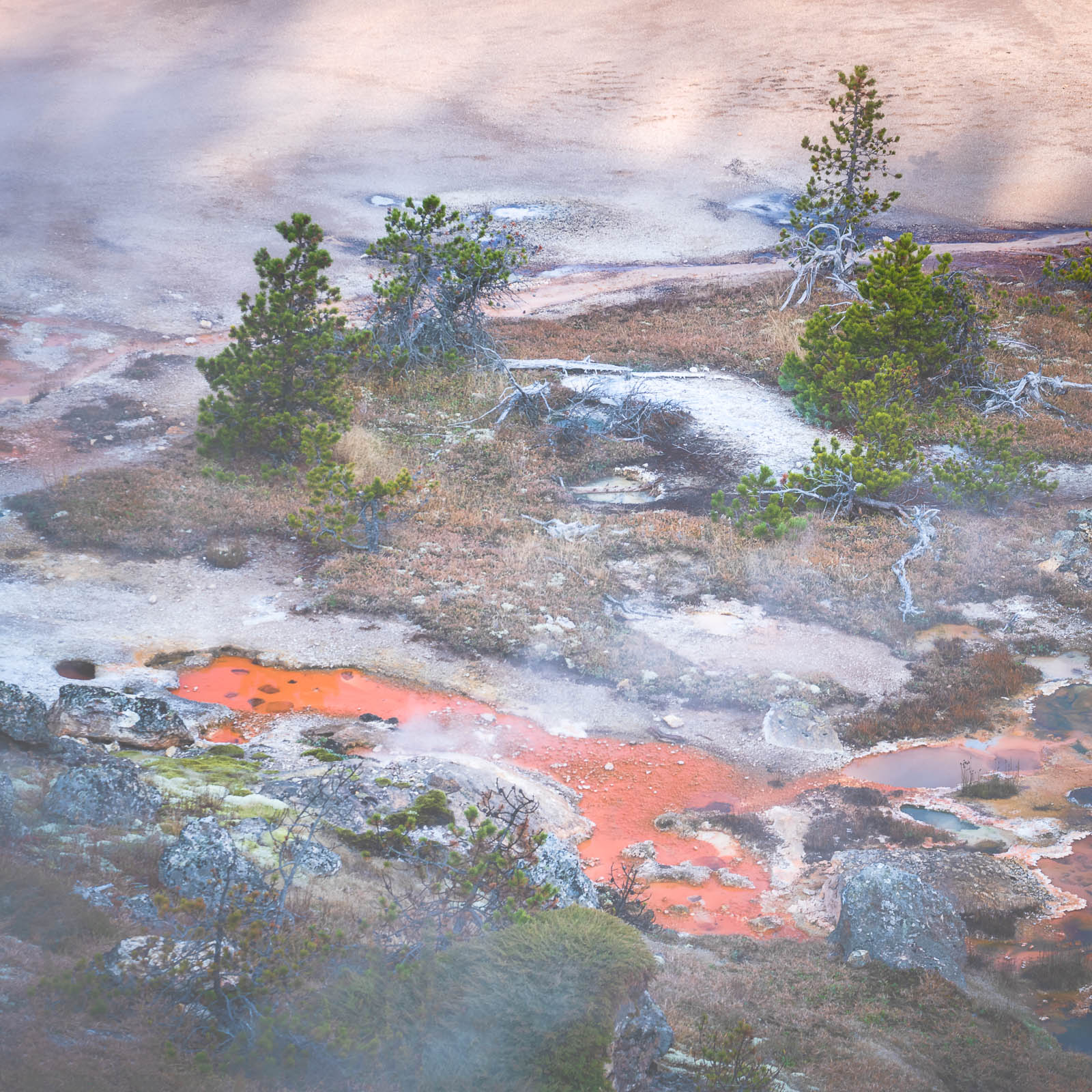 Thermal feature at Artist Paint Pots in Yellowstone National Park