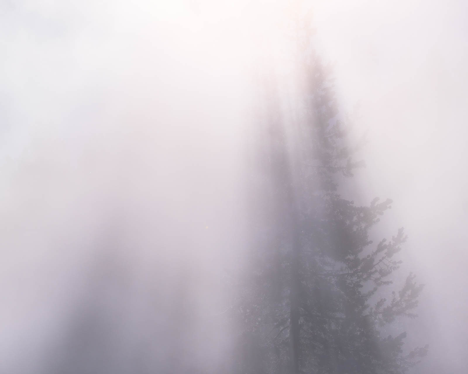 Towering Light Wyoming, fog, landscape orientation, rocky mountains, steam, tree, white, yellowstone national park, ynp