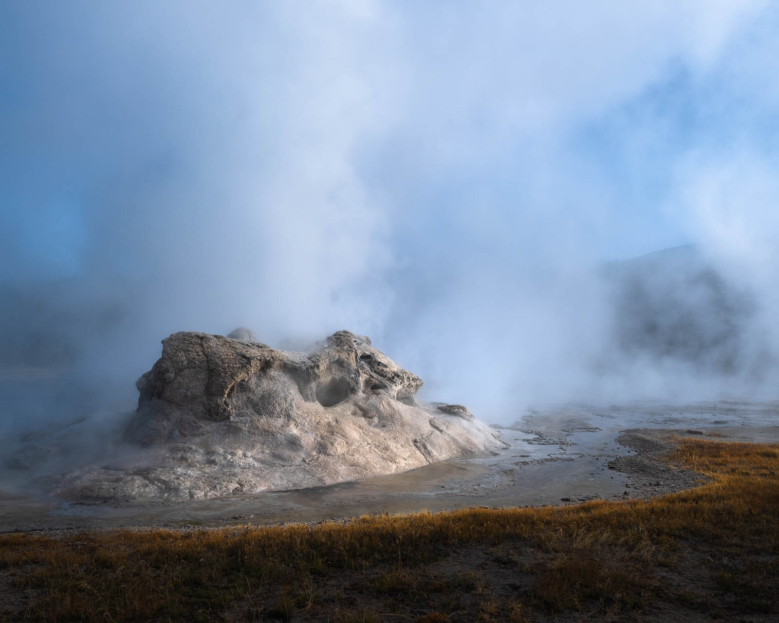 Grotto Geyser erupting at Yellowstone National Park