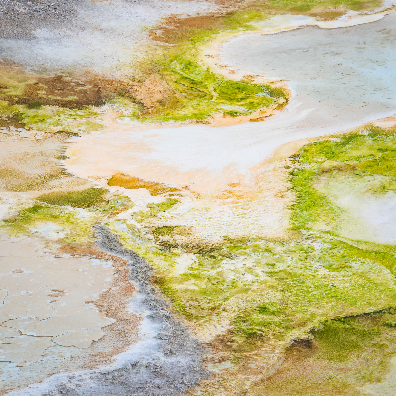 Mixed Up Abstract thermal feature at Yellowstone National Park