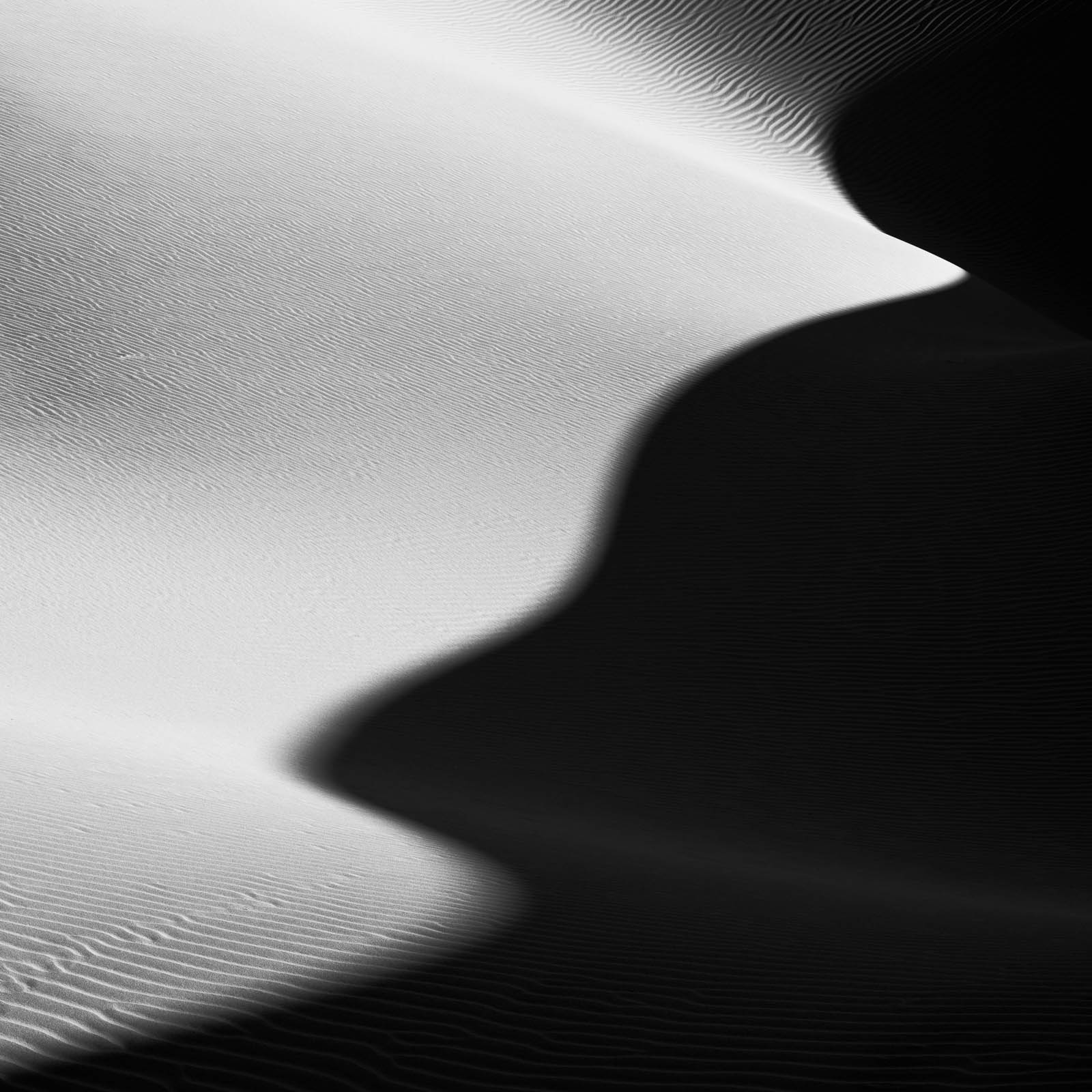 black and white, california, death valley national park, monochrome, sand dunes