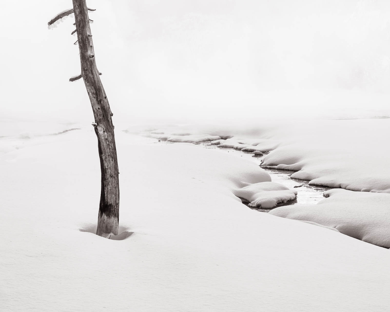 Wyoming, black and white, landscape orientation, monochrome, river, snow, stream, tree, white, winter, yellowstone national park...