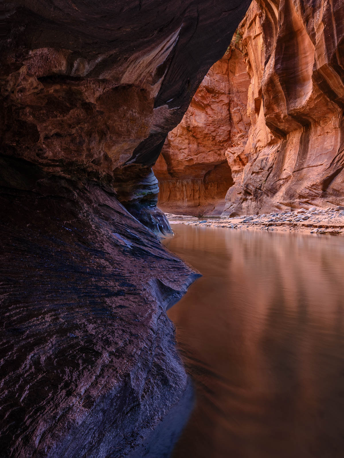 Utah, canyon, orange, portrait orientation, reflection, zion narrows, zion national park
