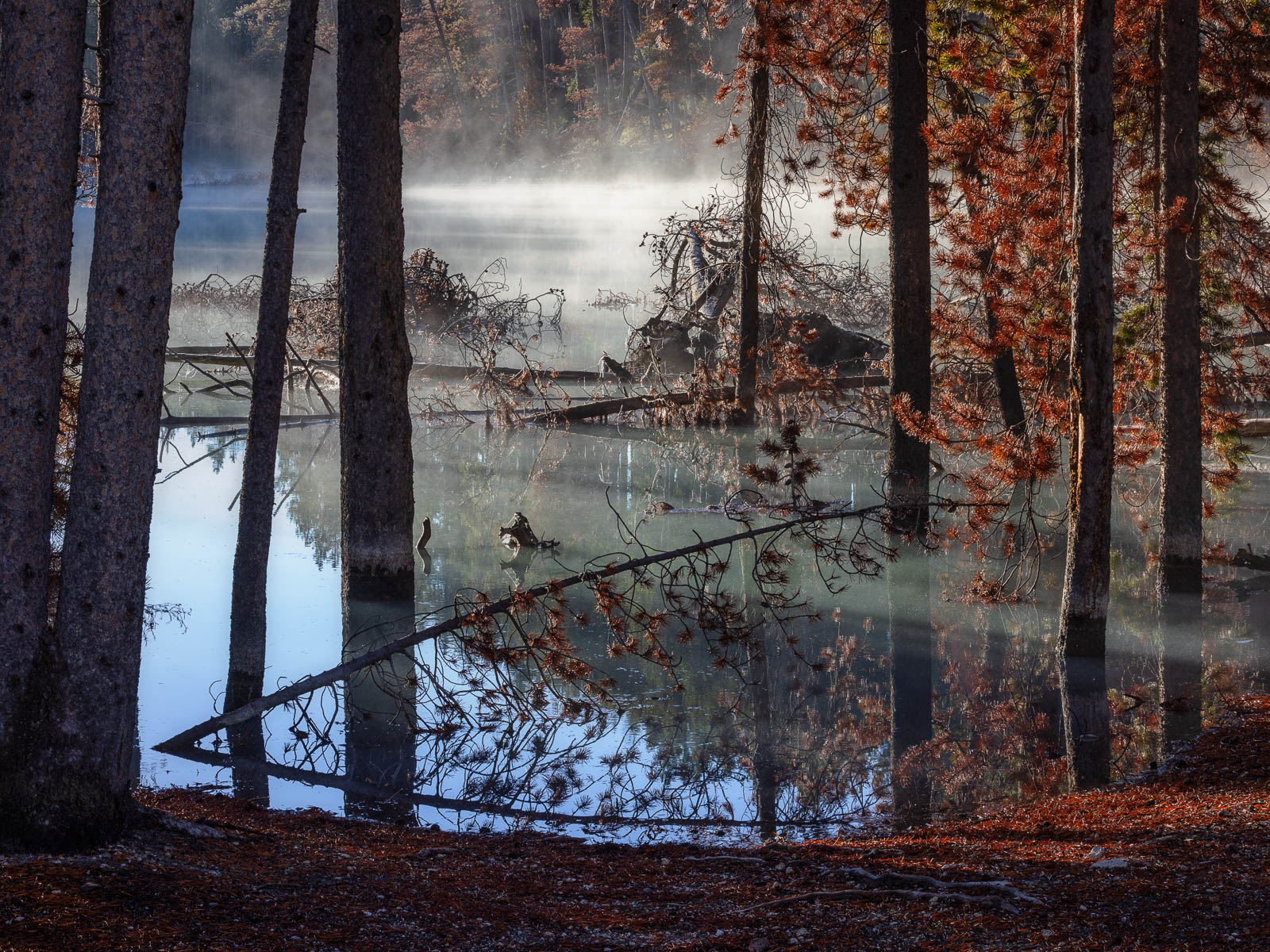 Tranquil Echoes Tranquil Echoes