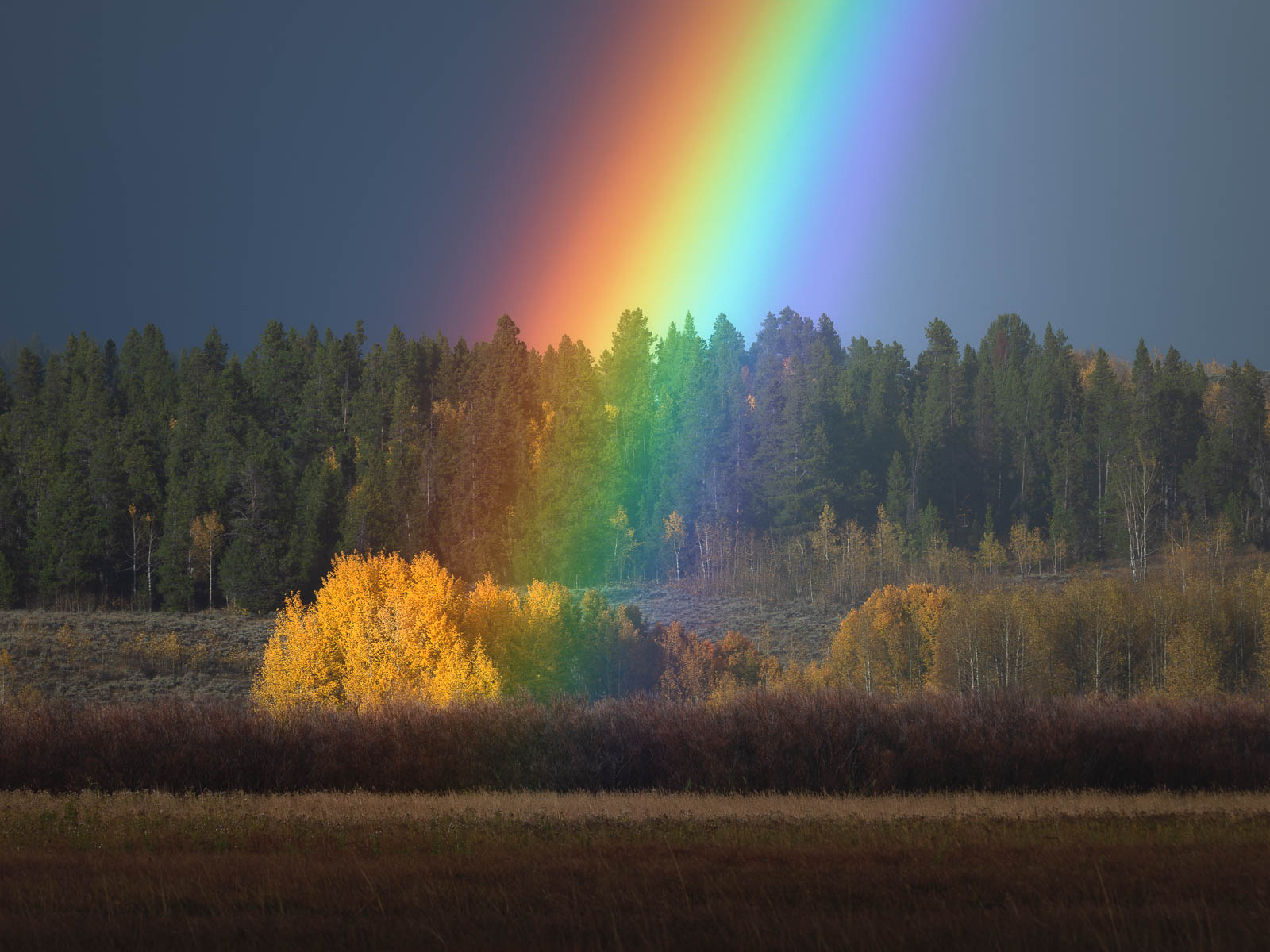 Nature's Spectrum