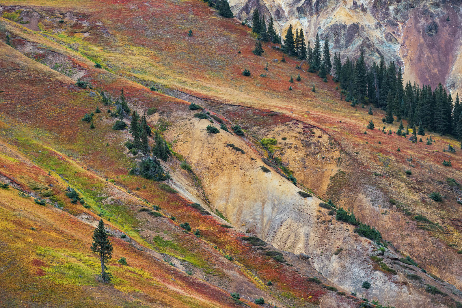 Many would lament that the fall in Colorado was less spectacular than usual, but if your mind was open you could find scenes...