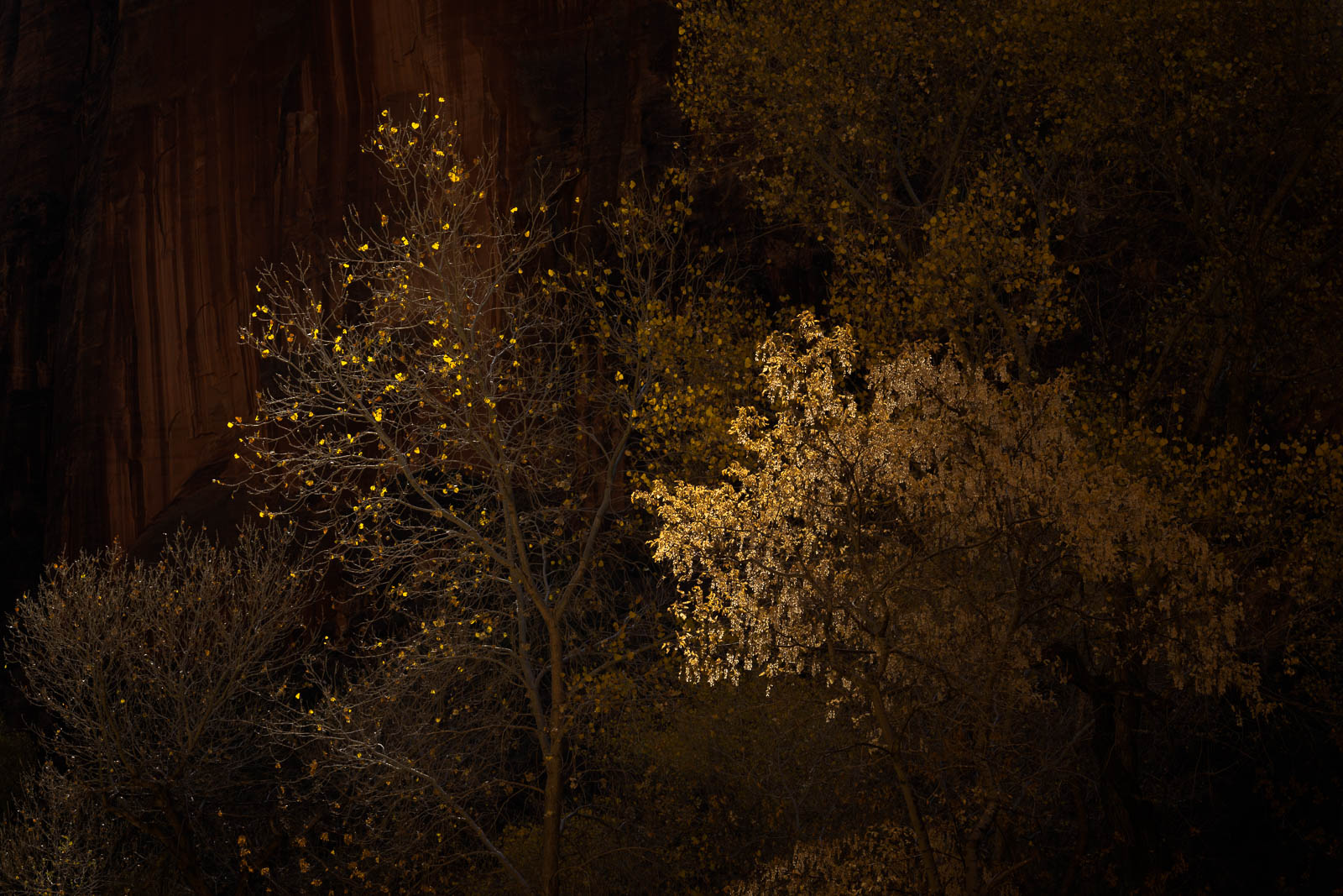 When I created this image I was again wondering around Zion Canyon with no expectations of creating an image. I left my mind...