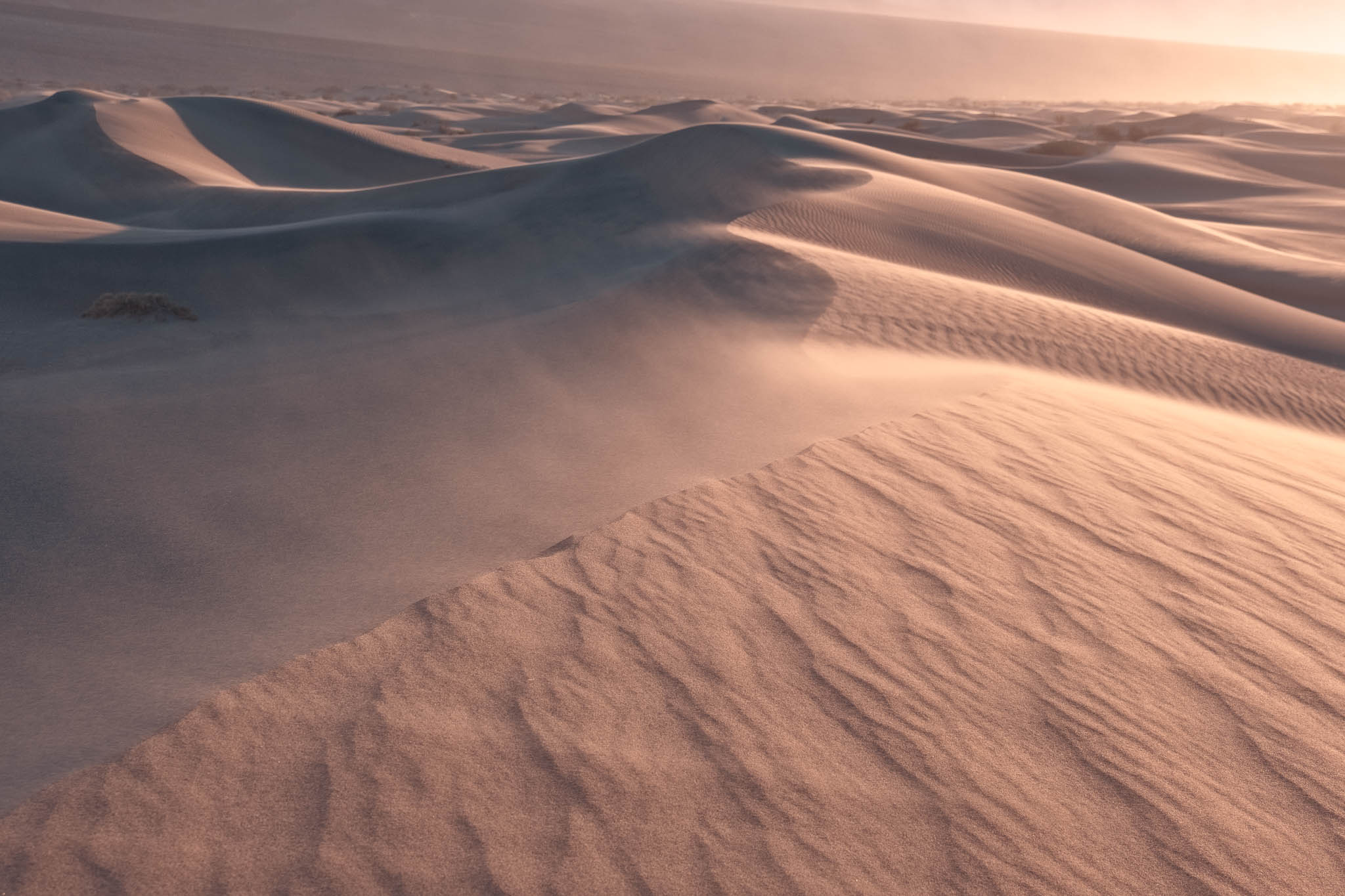 brown, california, death valley national park, desert, landscape orientation, mesquite dunes, mojave desert