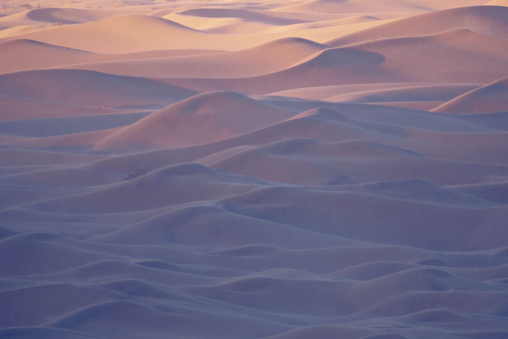 california, death valley national park, desert, landscape orientation, mesquite dunes, mojave desert, purple