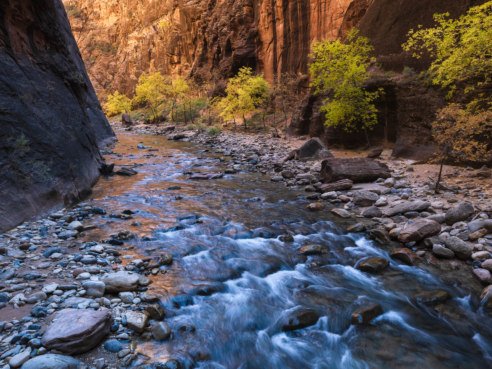 Zion Narrows Virgin River with fall colors