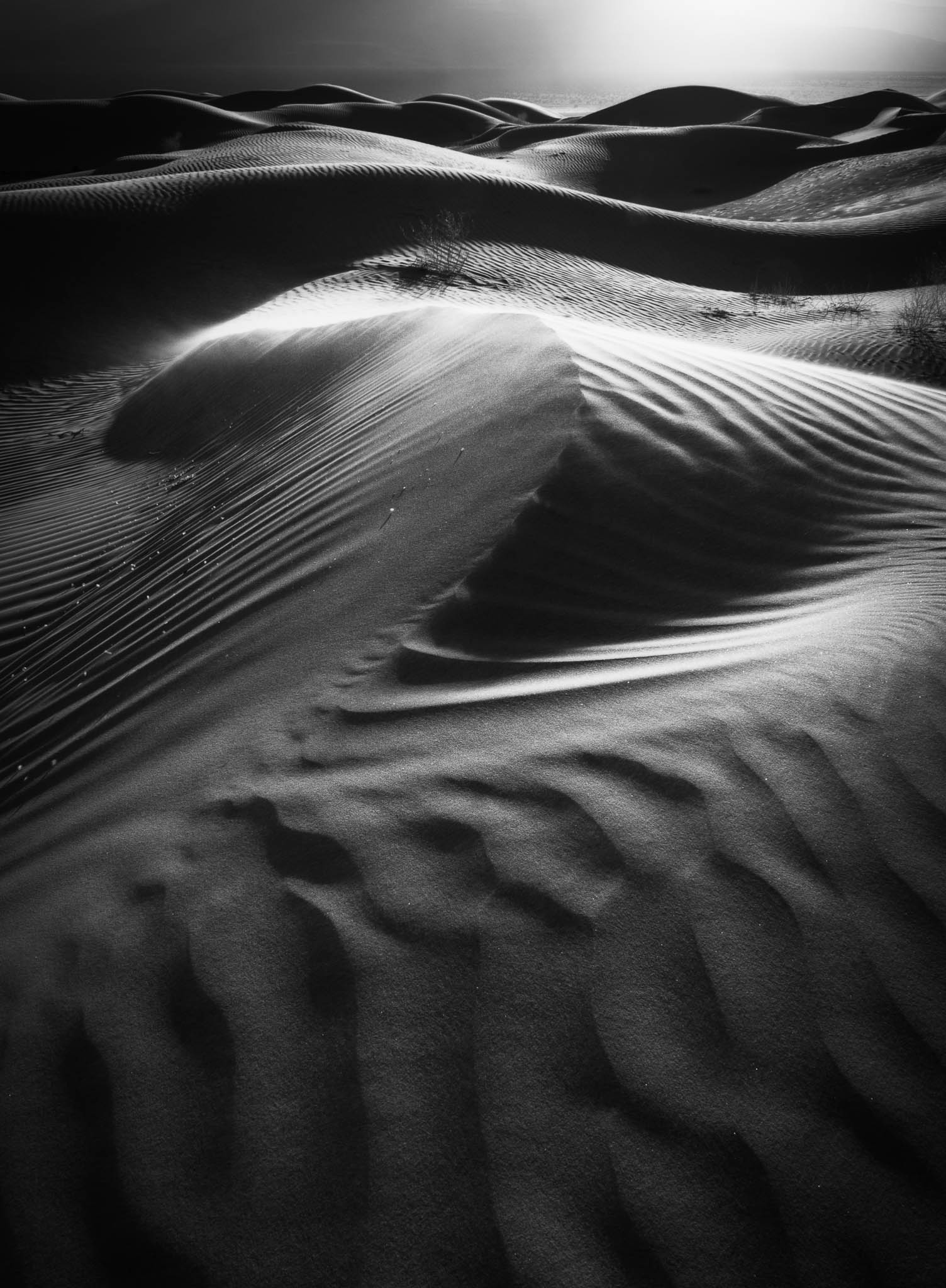 black and white, california, death valley national park, desert, eureka dunes, mojave desert, monochrome