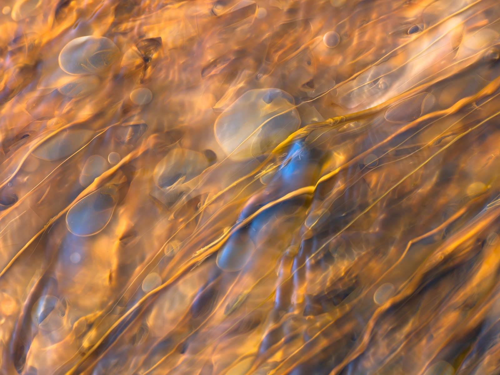 Pearls Abstract thermal feature at Yellowstone National Park