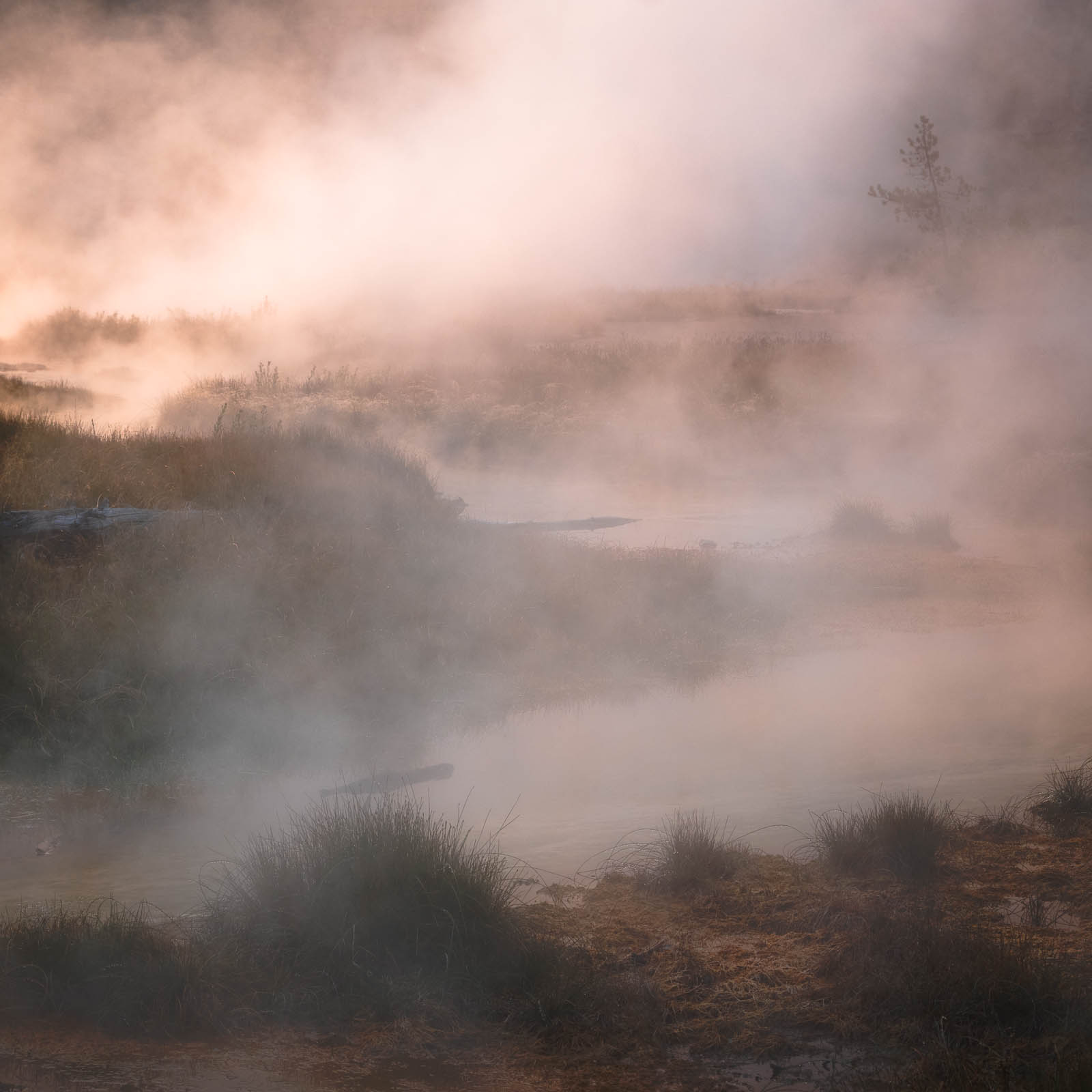 Thermal Sauna Steam rising off a river at Artist Paint Pots in Yellowstone National Park