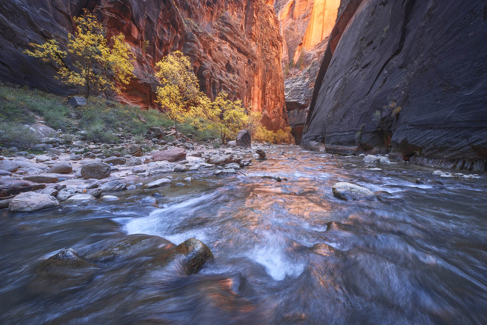 Utah, autumn, blue, brown, canyon, colorado plateau, fall, landscape orientation, orange, virgin river, yellow, zion narrows...