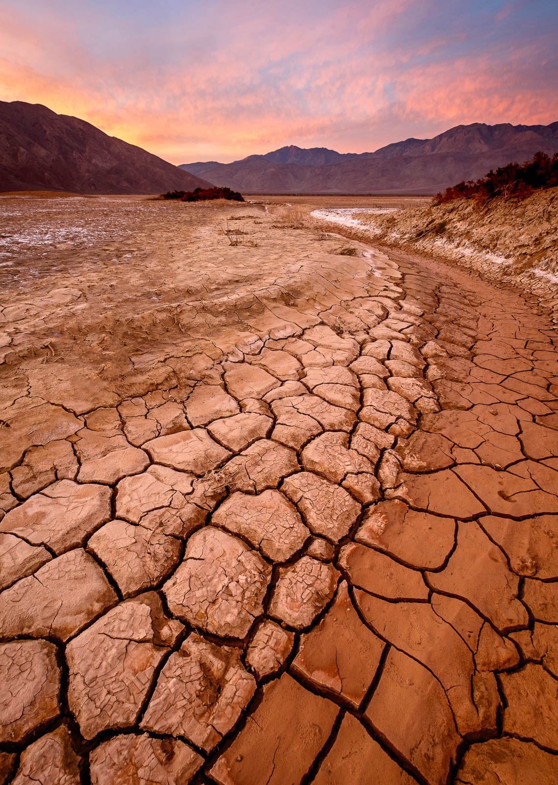 anza borrego state park, california, orange, pink
