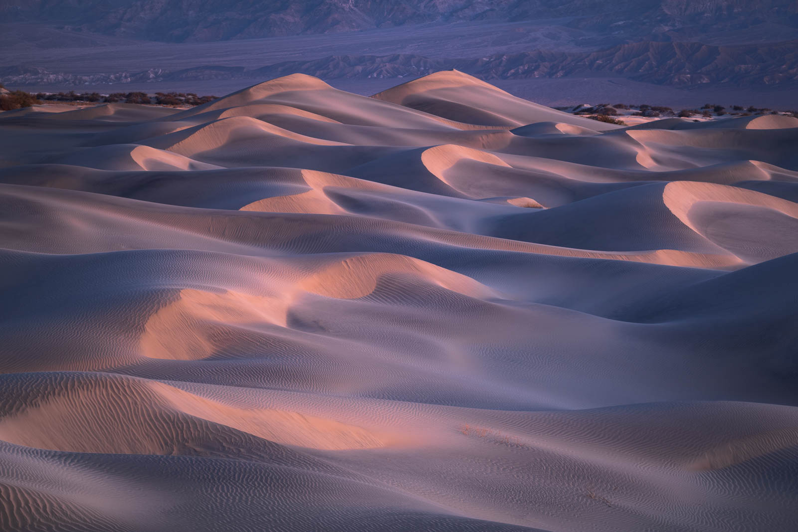 Time, Twilight, blue, california, death valley national park, landscape orientation, mesquite dunes, mojave desert, pink, sand...