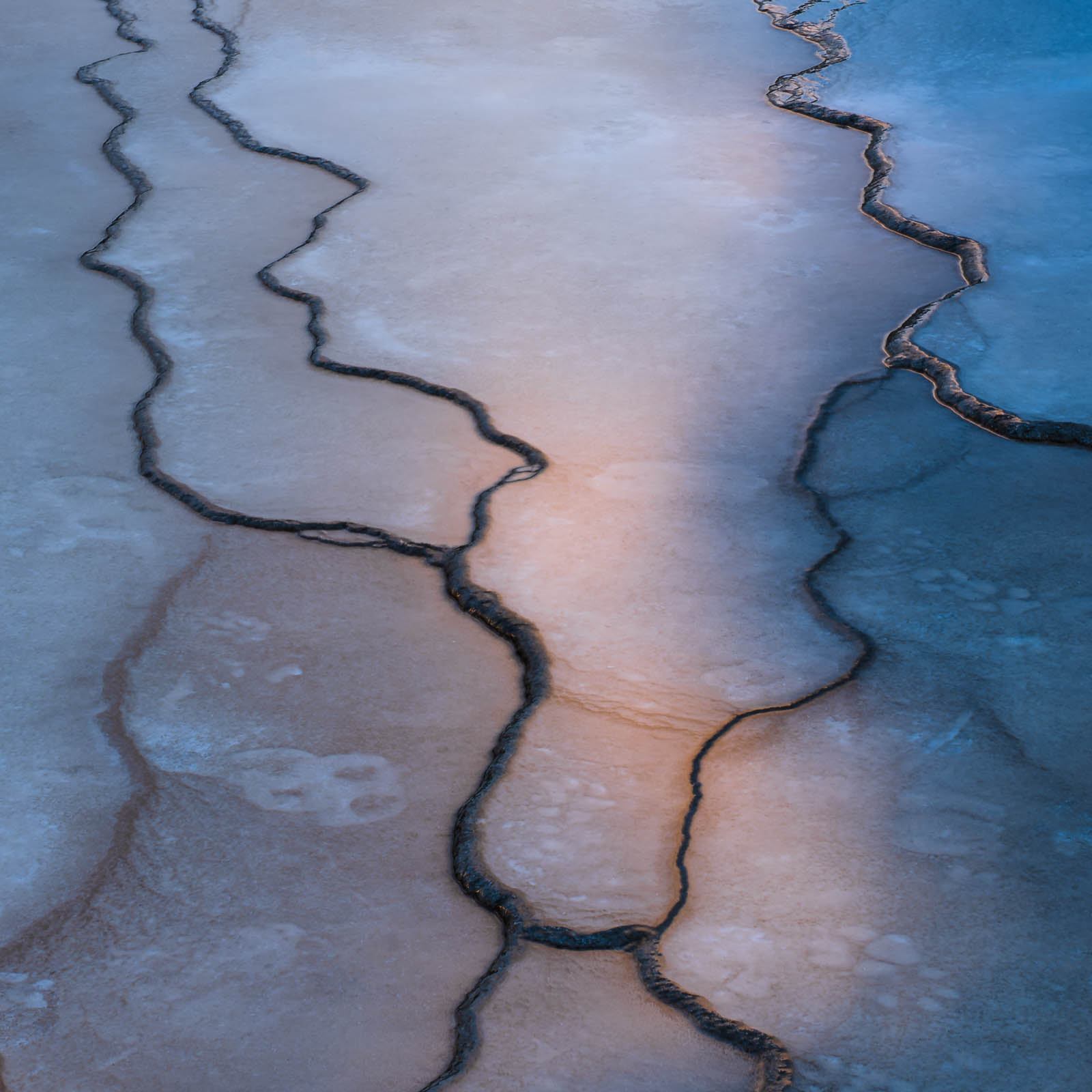 Veined Abstract thermal feature at Grand Prismatic in Yellowstone National Park