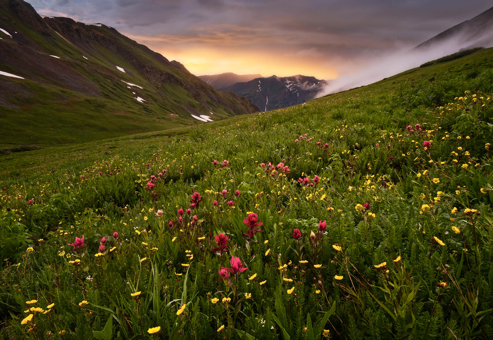 Flower, Time, Wildflower, colorado, fog, green, landscape orientation, mountains, orange, red, san juan mountains, storm, sunset...