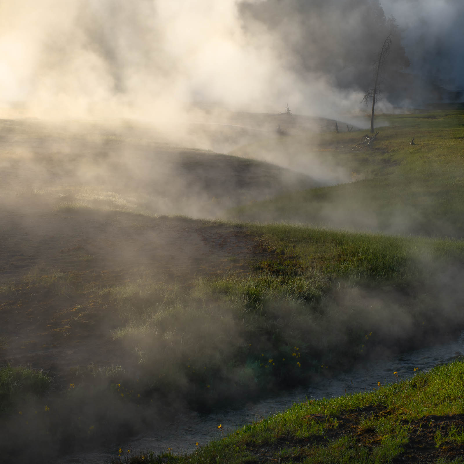 Steam River Steaming river in Yellowstone National Park
