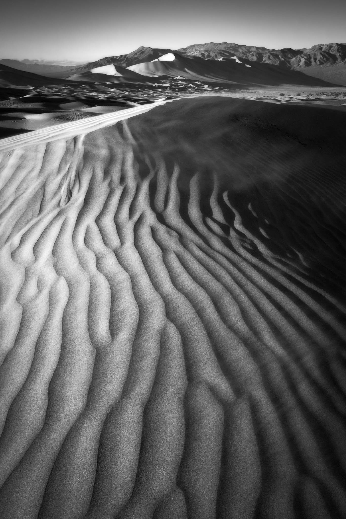 black and white, california, death valley national park, desert, mojave desert, monochrome