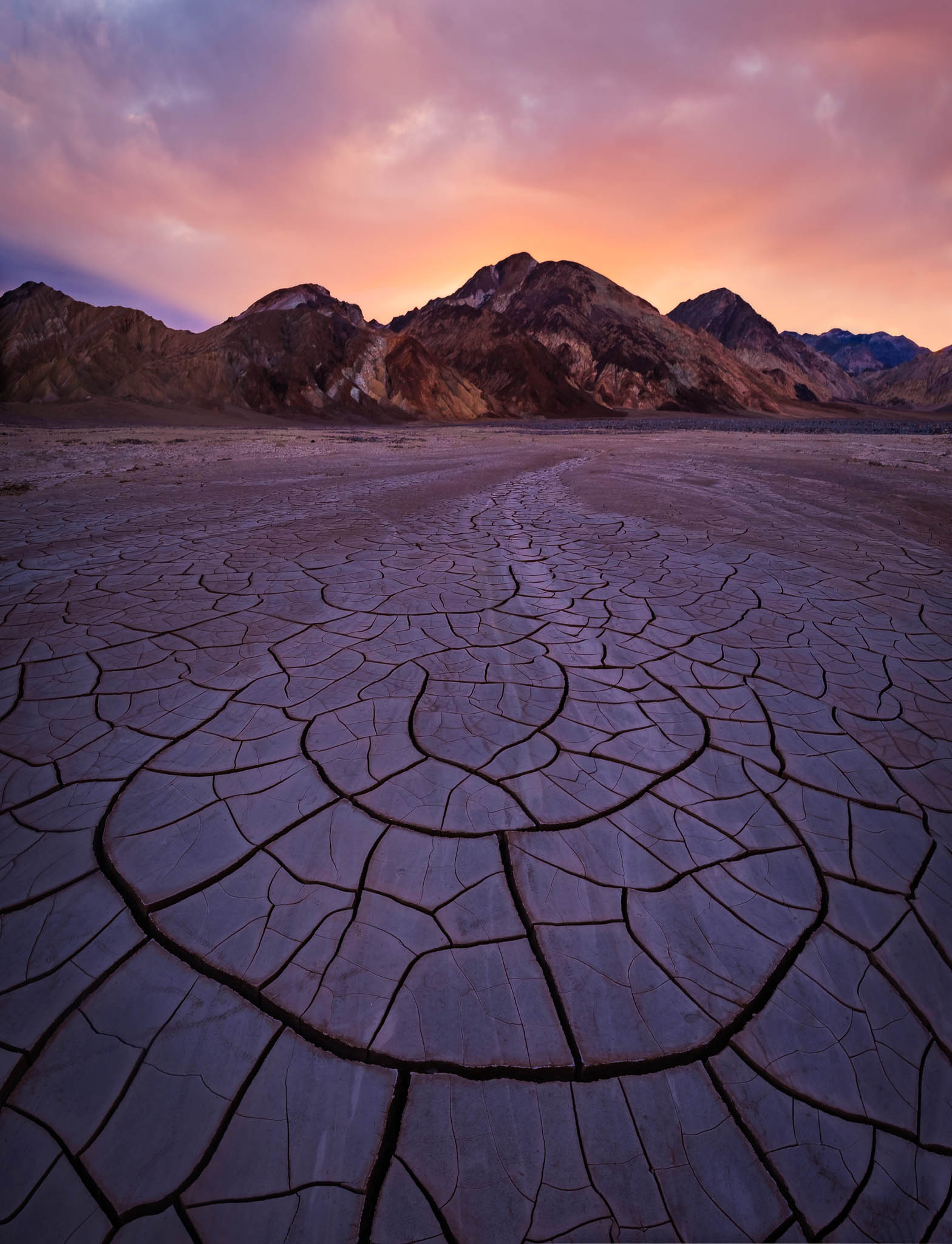 Spring storms leave dramatic fileds of mud cracks in Death Valley National Park