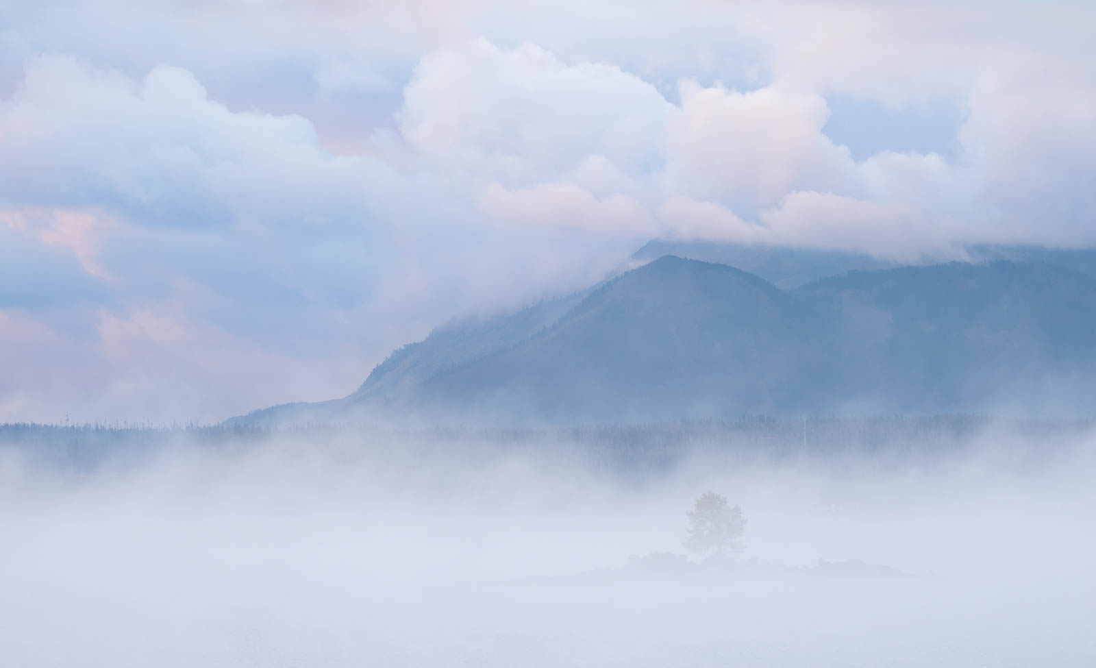 Carrington Island enveloped in fog at Yellowstone National Park