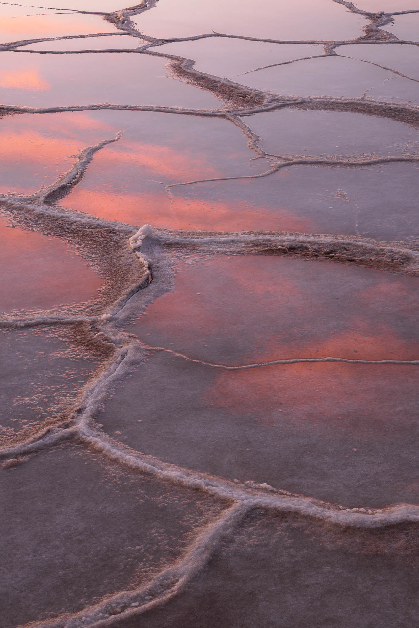 badwater basin, california, death valley national park, desert, mojave desert, portrait orientation