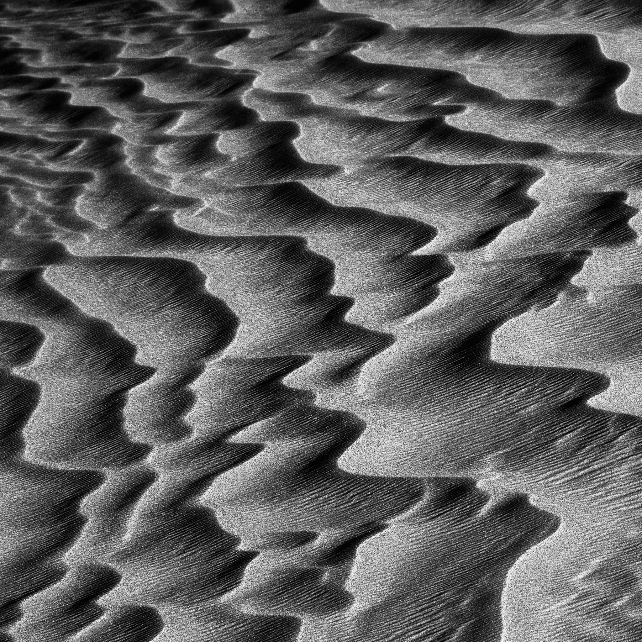 black and white, california, death valley national park, desert, eureka dunes, mojave desert, monochrome